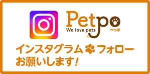 Petpo ぺっぽ インスタグラムフォローお願いします！